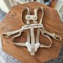 Stokle 5 Point Harness Image 3