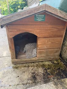 kennel