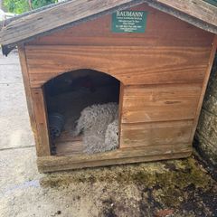kennel