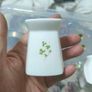 Vintage Royal Tara bone china candlesticks Image 4