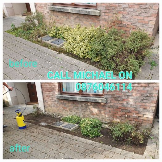 Garden maintenance