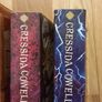 How to train your dragon books Image 5