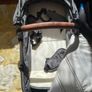 buggy Image 2