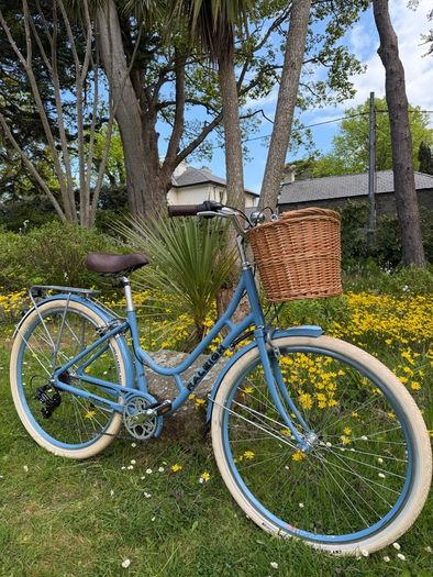 Raleigh Willow Ladies Bike Excellent Condition Size M