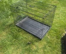 Dog Crate (Medium)