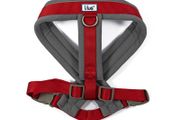 Viva Padded Harness. Size: Large