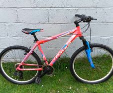 Torpado Storm Mountain Bike (Adult)