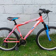 Torpado Storm Mountain Bike (Adult)
