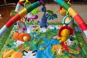 Fisher Price playmat
