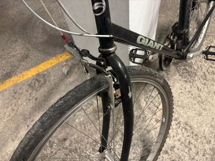 Giant bike