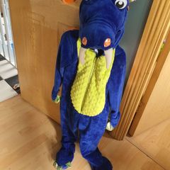 costume dragon