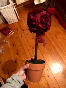 Burgundy Flower Tree x6