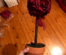 Burgundy Flower Tree x6