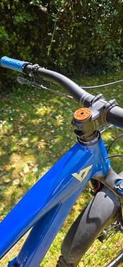 MTB 2021 YT Capra 29inch L-size