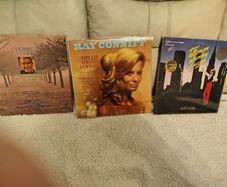 vinyl