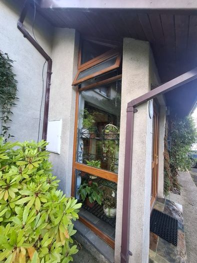 Window