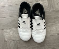Adidas Taekwondo runners