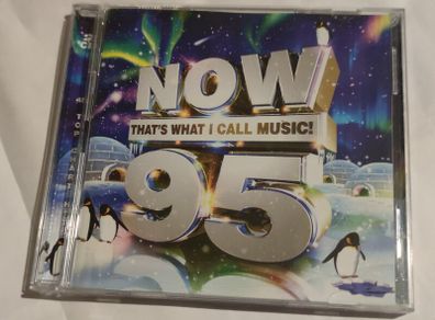 New Now 95 double Cd