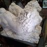 Large Pair cast stone Garden Lions Image 3