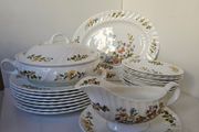 Aynsley Cottage Garden Dinner Set for 8 person