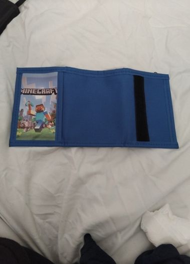 Minecraft wallet