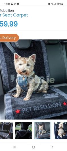car seat carpet