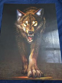 3D LiveLife Lenticular Wall Art Prints - Aloof From Deluxe Base - Unframed 3D Wolf - Size - 38.5cm x 28cm - RRP - 18.99