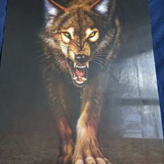 3D LiveLife Lenticular Wall Art Prints - Aloof From Deluxe Base - Unframed 3D Wolf - Size - 38.5cm x 28cm - RRP - 18.99