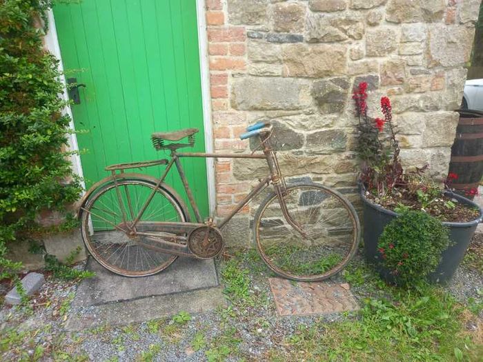 Vintage Bicycles