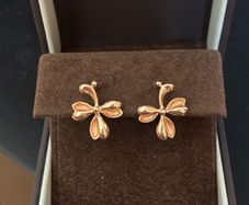 14K Gold Earrings