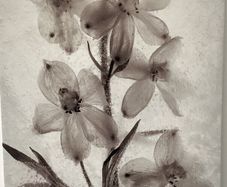 Canvas print, flowers