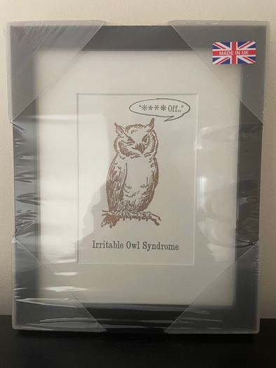 Framed Humorous Prints