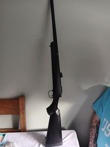 BB rifle with BBs