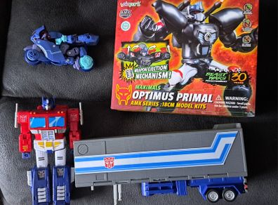 Transformers Lot