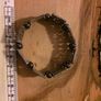 Bracelet Image 3
