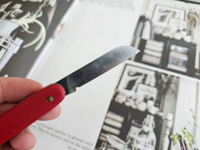 Victorinox Gardening Knife Utility Tool Swiss Army Knife