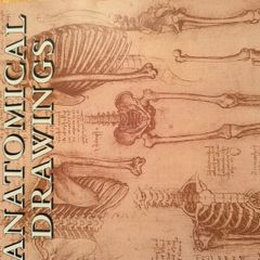 Leonardo's Anatomical Drawings