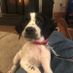 Mr Pointer