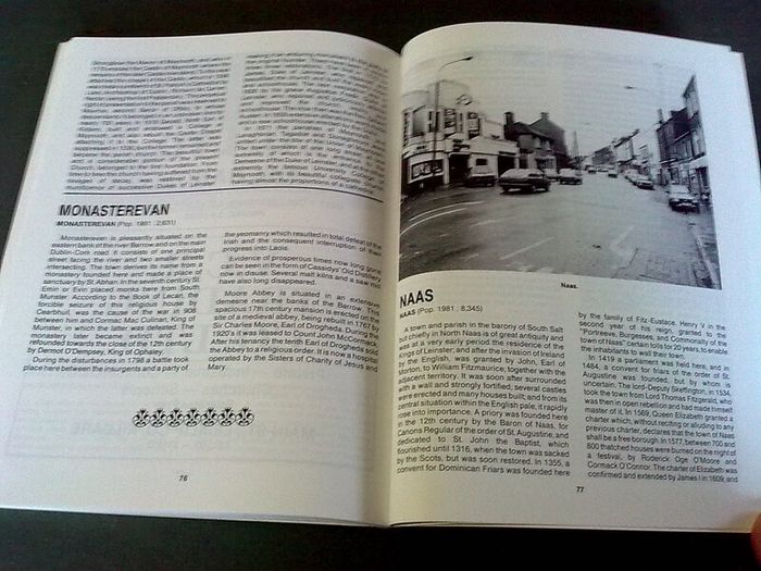 Official Guide to County Kildare Ireland Irish Old guide