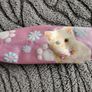 Pink Pencil Case Image 2