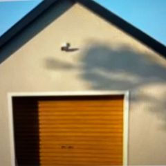Garage door Manual opening