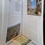 Lost Cities: 50 Discoveries in World Archaeology by Paul G. Bahn (GT449) Image 3