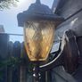 lanterans Image 8