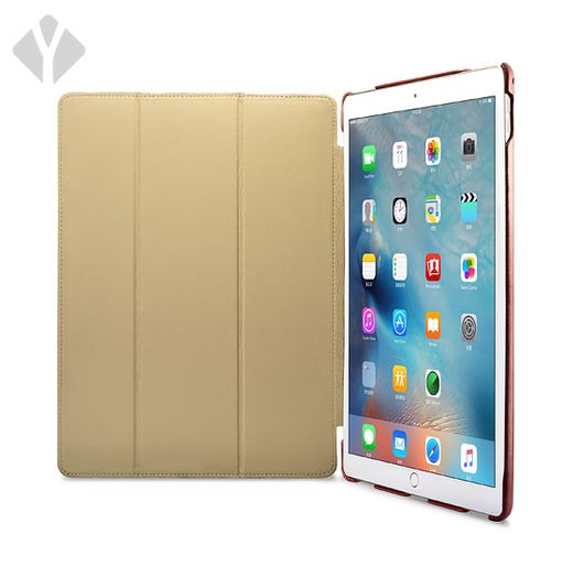 iPad Pro 12.9 Inch Leather Cover