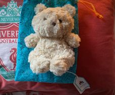 jellycat bartholmew bear