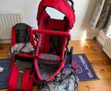 phil and ted double buggy