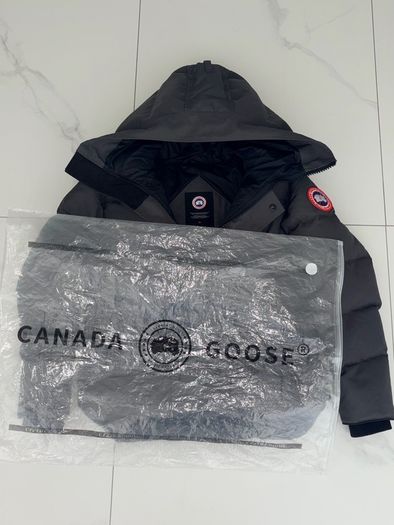 Canada goose