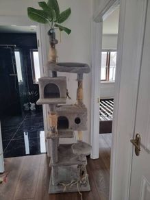 cat tree