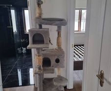 cat tree