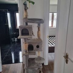 cat tree